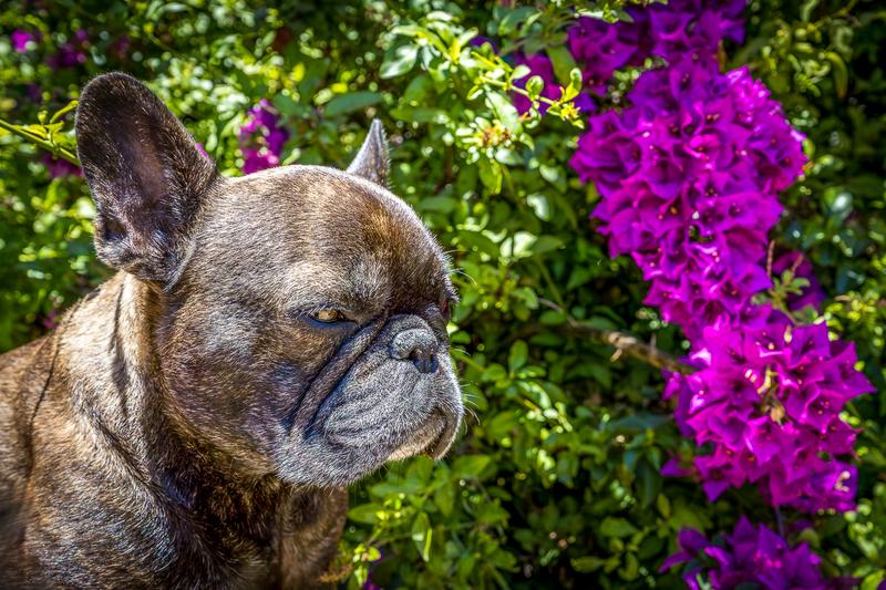 To Let 3 Bedroom Property for Rent in Green Point Western Cape